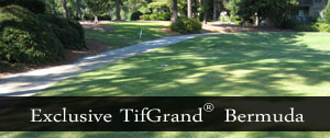 TifGrand Certified Bermuda Honolulu