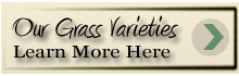 learn more about our grass