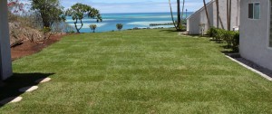 Reed & Anne Copsey, Kaneohe