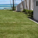 read more testimonials Testimonials- Hawaiian Turfgrass