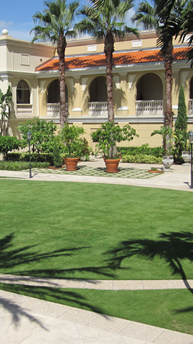 zeon zoysia hawaii ZEON-hawaiian-turfgrass