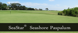 zeon SeaStar for Hawaii grass Oahu
