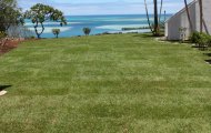 Reed & Anne Copsey, Kaneohe