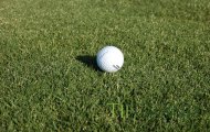 hawaiian_turfgrass-tifgrandgolfballprint